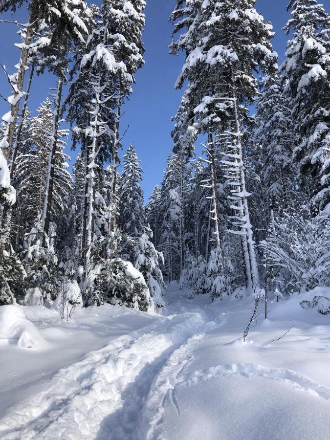 Schwarzwaldblick Daire Sankt Georgen im Schwarzwald Dış mekan fotoğraf